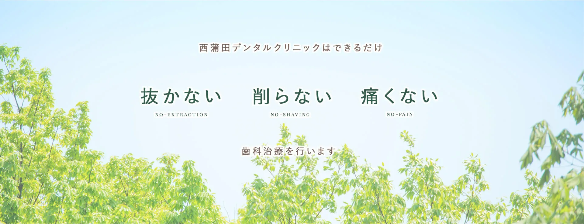 チーム医療の提供を表す治療・スタッフ・診療風景のコラージュ